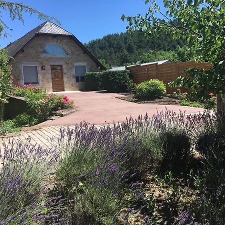 & Rodier X Cafe Bar & Restaurant 2*