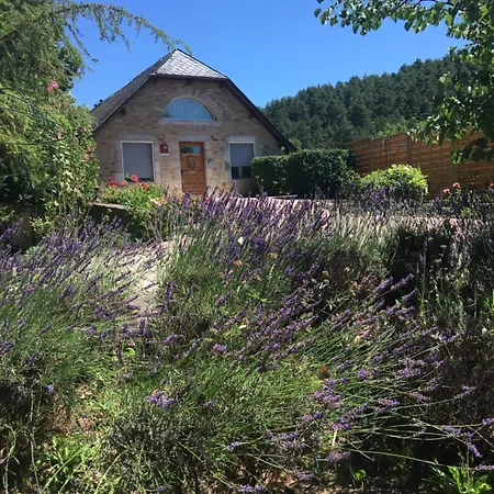 Hotel & Rodier X Cafe Bar & Restaurant 2*